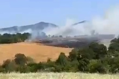 Balıkesir Gönen'de buğday tarlasında yangın çıktı