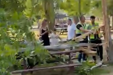 Edirne Söğütlük Kent Ormanı’nda faciadan dönüldü: Piknik masalarının üzerine ağaç devrildi