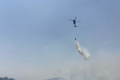 Mardin'de orman yangını!