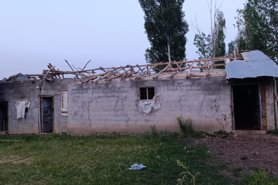 Muş’ta fırtına ağaçları ve elektrik direklerini devirdi