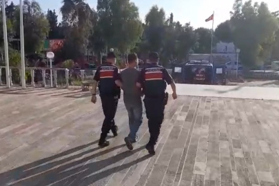 İzmir Foça'daki orman yangınıyla ilgili 1 tutuklama