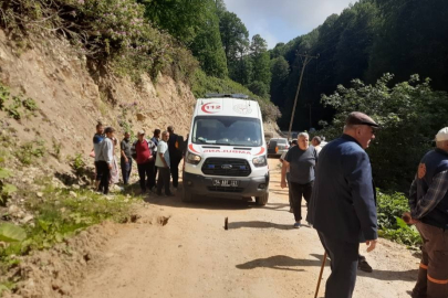 Sakarya'da kontrolden çıkan pat pat, dereye devrildi: 2 yaralı