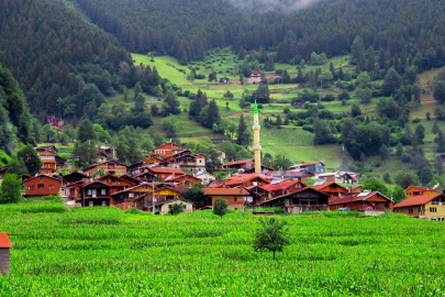 Trabzon'da doğa yürüyüşü yapan 75 kişi kayboldu!