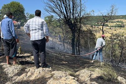 Uşak’ta meşelik alanda çıkan yangın söndürüldü