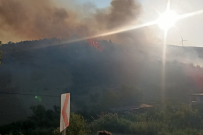 Hatay’da orman yangını çıktı