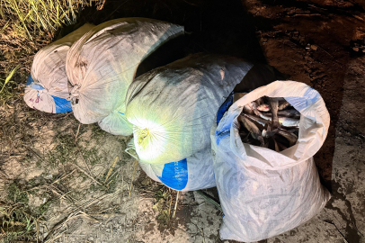 Van'da kaçak balık avlayan 16 kişiye 205 bin 360 lira idari para cezası uygulandı