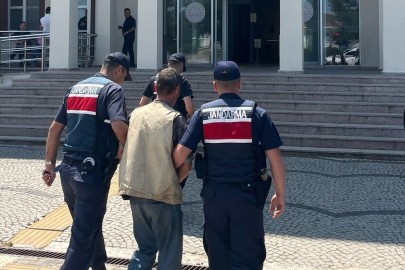 Çanakkale'de arazide 77 kök kenevir ele geçirildi