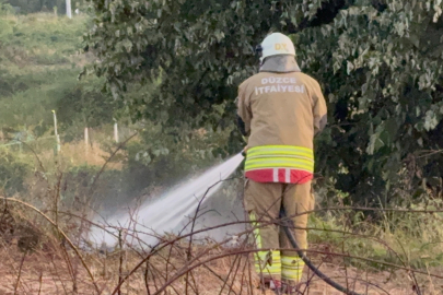 Düzce'de yol kenarına atılan izmarit, otları yaktı