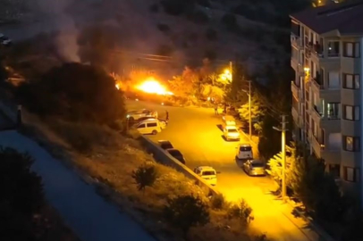 Elazığ’da ot yangını çıktı