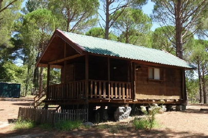 13 ilde 'bungalov dolandırıcılığı' operasyonu: 50 gözaltı