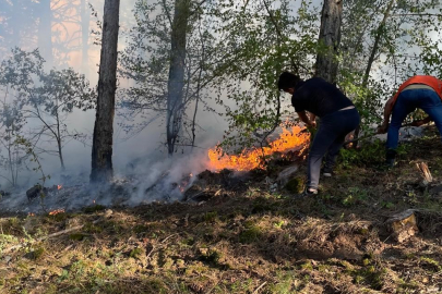Bolu'da örtü yangını