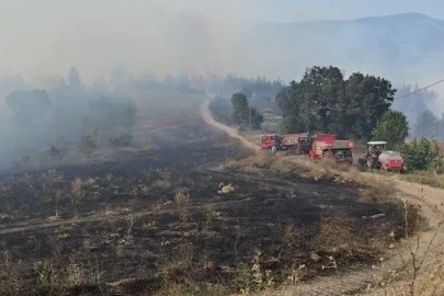 Orhaneli’deki orman yangınıyla ilgili Bursa Valiliği’nden açıklama