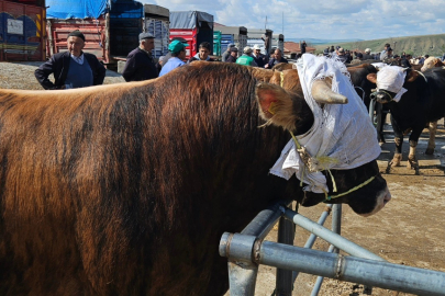 Yozgat genelindeki hayvan pazarları kapatıldı