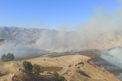 Diyarbakır’da yaylada örtü yangını