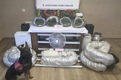 Sakarya'da uyuşturucu serasına çevrilen eve jandarma baskını