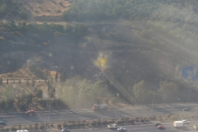 İzmir'de tır alev aldı, ormanı tutuşturdu
