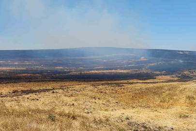 Bursa'da ormanlık alanda çıkan yangın kontrol altında