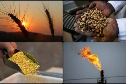 Emtia piyasasında dalgalı seyir