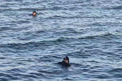 İstanbul Avcılar’da denizde ceset ihbarı asılsız çıktı