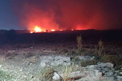İzmir Menemen’de makilik alanda yangın
