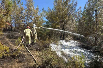 Adana’daki orman yangını kontrol altına alındı