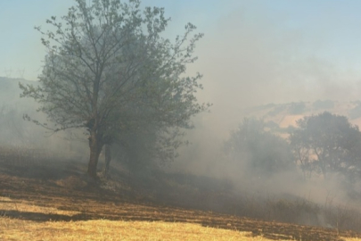 Bursa'da çıkan iki orman yangını kontrol altına alındı