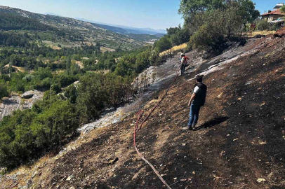 Denizli'de Çal’da başlayan yangın büyümeden söndürüldü