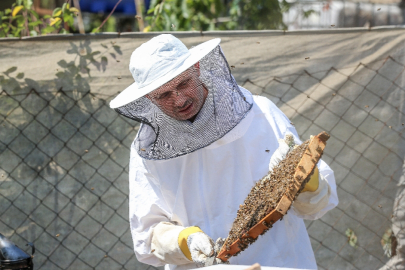 Bursa'da 4 arkadaş eşleriyle ürettikleri arı sütünü yurdun dört bir yanına gönderiyor