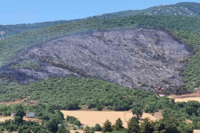 Bursa Yenişehir ilçesindeki yangın söndürüldü