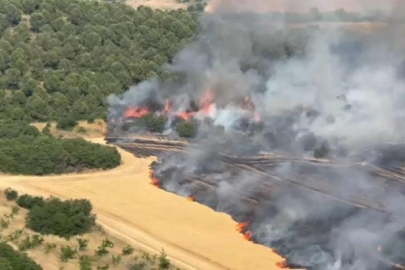 Bursalılara kavurucu sıcak uyarısı! Orman yangınları...
