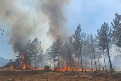 Karabük’te ormanlık alanda çıkan örtü yangını kontrol altına alındı