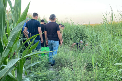 Adana’da sazlıklar arasında bir kişi ölü bulundu
