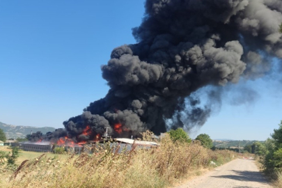 Bursa'da fabrika yangını! Alevler gökyüzünü kapladı
