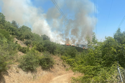 Bursa'da orman yangını! Bir anda dumanlar yükselmeye başladı...