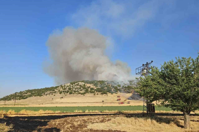 Gaziantep’te anız yakarken suçüstü yakalanan şahsa 47 bin TL ceza