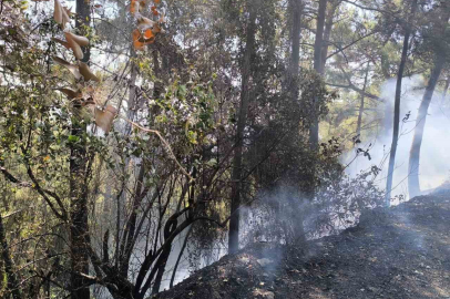 Hatay’da orman yangını