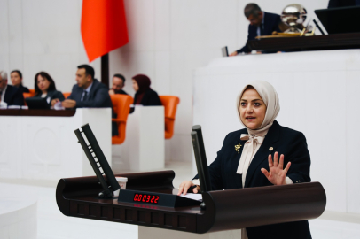 Milletvekili Ün: İklim kanunu çiftçiye, besiciye darbe vuracak