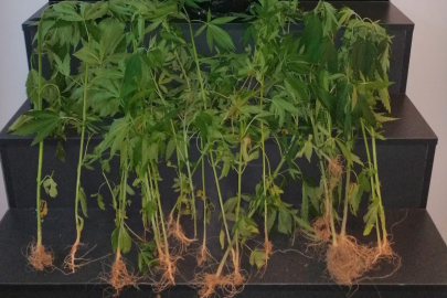 Polisten uyuşturucu baskını