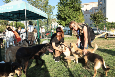 Bursa Nilüfer’de ‘Bir Yuva Bir Umut’ şenliği: Sokak hayvanları yeni yuvalarına kavuştu