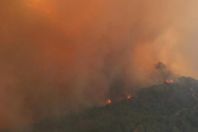 Bakan Tunç duyurdu! Orman yangınlarına 17 gözaltı...