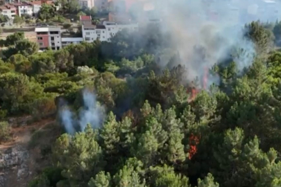 İstanbul Pendik’te ormanlık alanda çıkan yangın söndürüldü