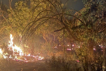 Mersin’de üç noktada çıkan yangın kontrol altına alındı