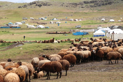 371 yaylaya yerleşen göçer aileler yazı çadırlarda geçiriyor