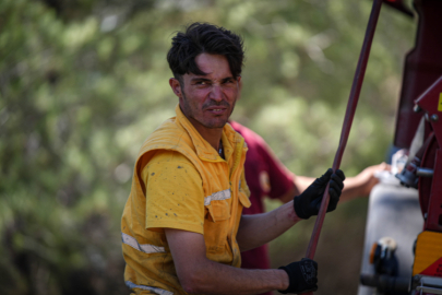 "Alev savaşçıları" ağaçlara siper oldu