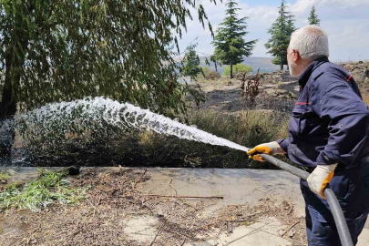 Bitlis Tatvan’da çıkan yangında 50 dönümlük alan küle döndü