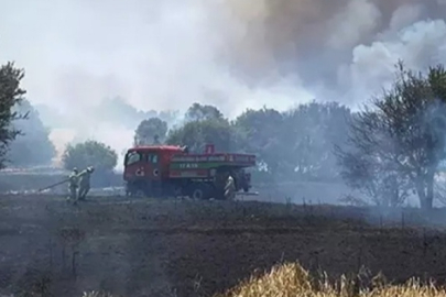 Çanakkale'de orman yangınlarıyla ilgili 26 kişi hakkında adli işlem başlatıldı