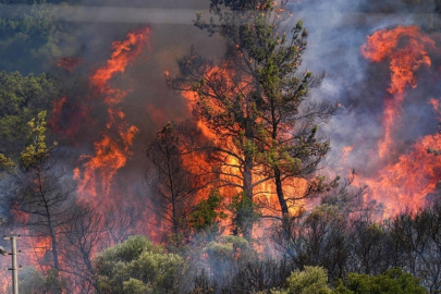 Son 3 günde 263 orman yangını: 259'u kontrol altında