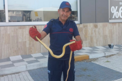 Balıkesir Gönen’de aracın motor bölümünden çıkan yılan paniğe neden oldu