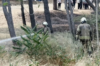 İstanbul Bakırköy Ruh ve Sinir Hastalıkları Hastanesi bahçesinde yangın