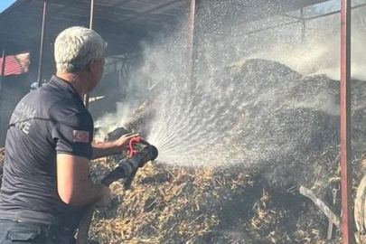 Adana'da ahır yangınında 5 inek öldü